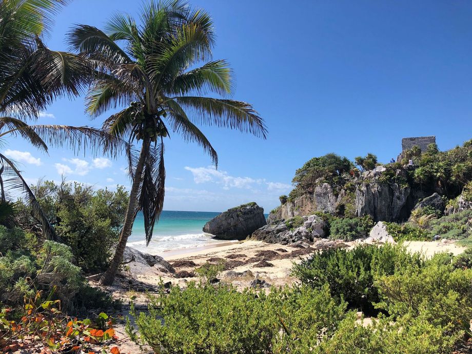 Tropical beach with palm trees, rocky shore, turquoise water, and clear blue sky.