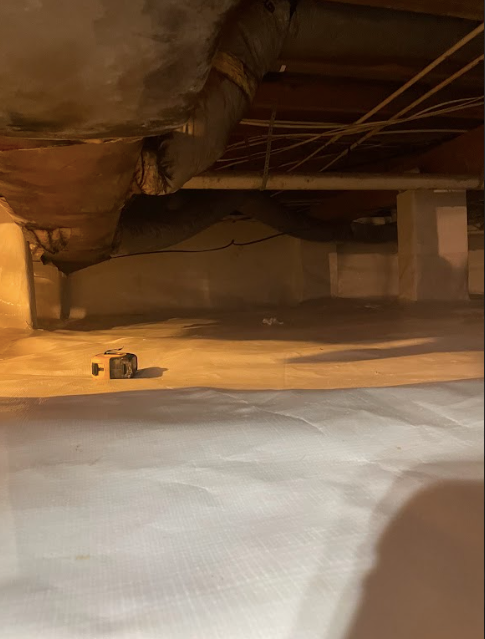 A person is standing in a basement with a camera.