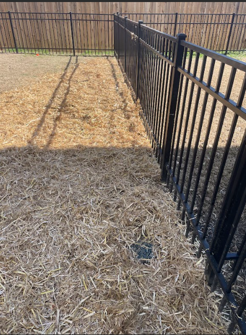 A black fence surrounds a pile of mulch in a yard.