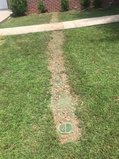 A drain in the middle of a lush green lawn next to a sidewalk.