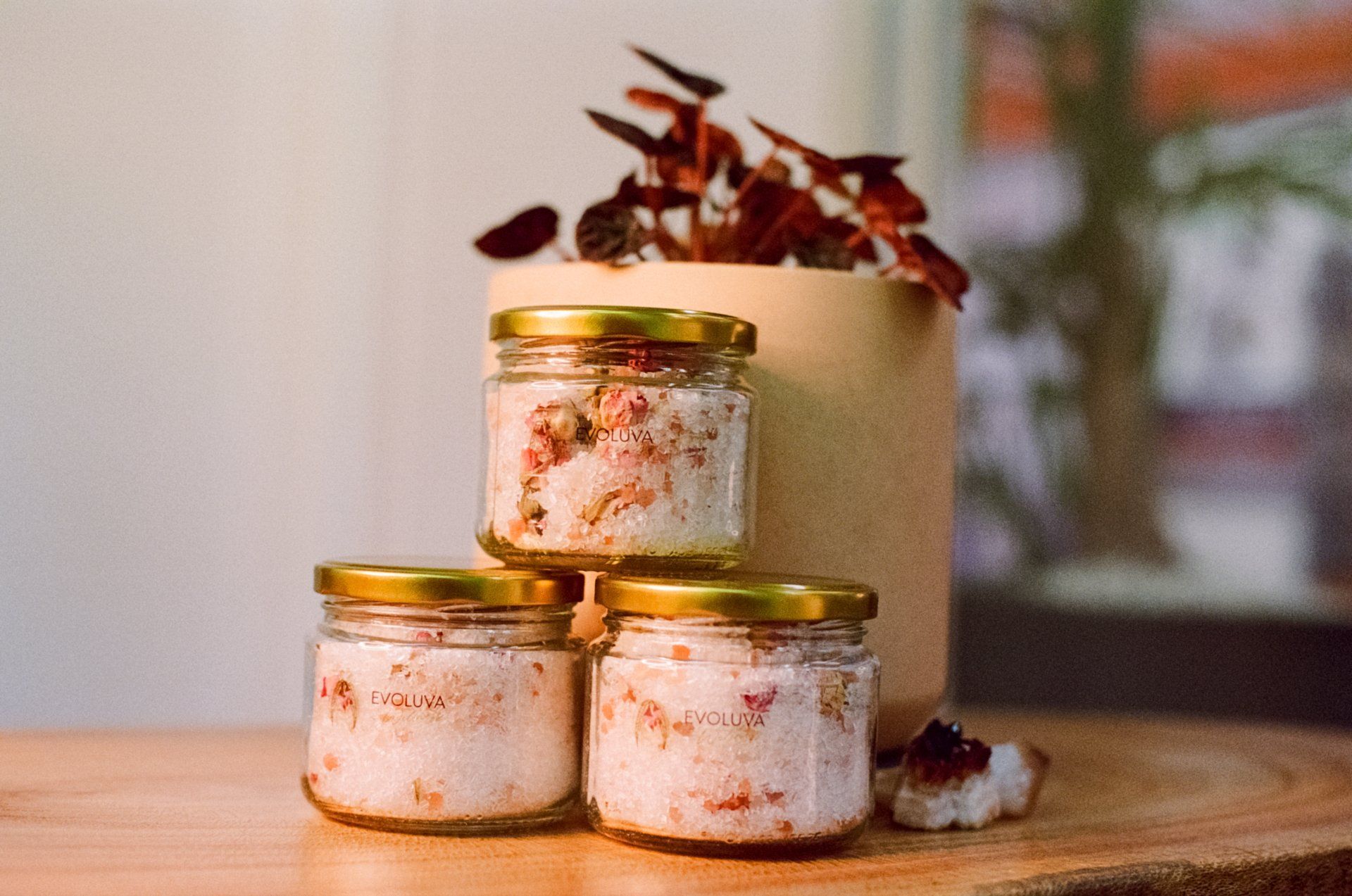 Evoluva Wellness Products - Counselling Therapy In Ulladulla, NSW