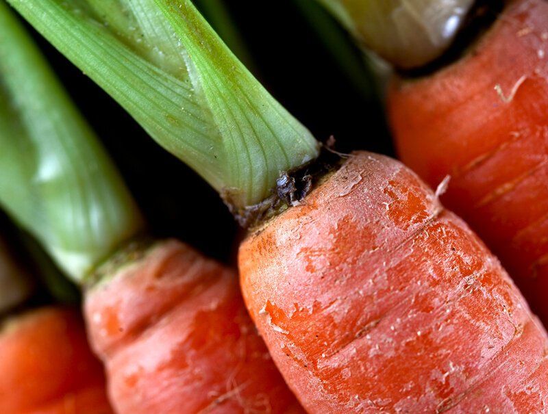 Image of Carrots up close