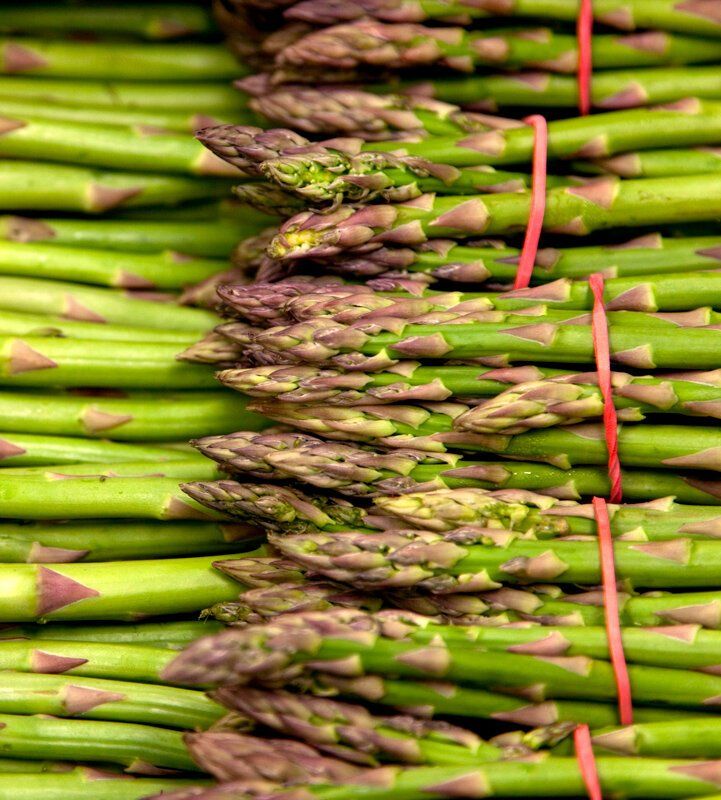 Image of Asparagus
