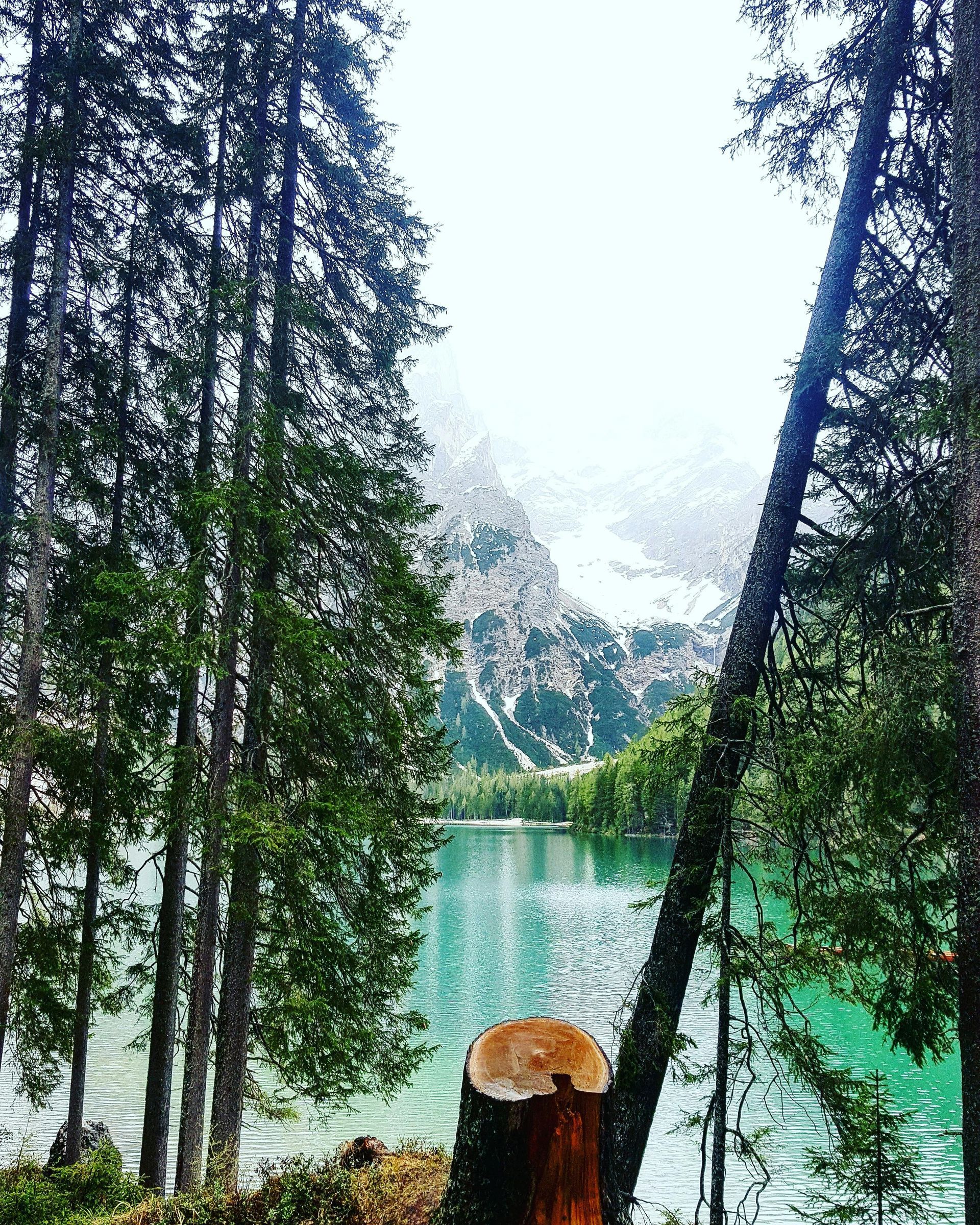 A man in a blue shirt and tie is using a laptop computer.