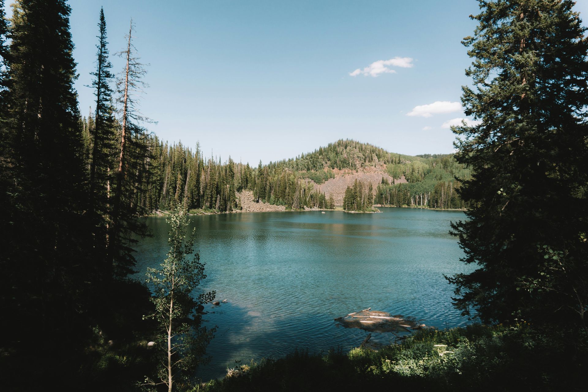 Man in plaid jacket, blue shirt, touching his jacket. Brick wall background.