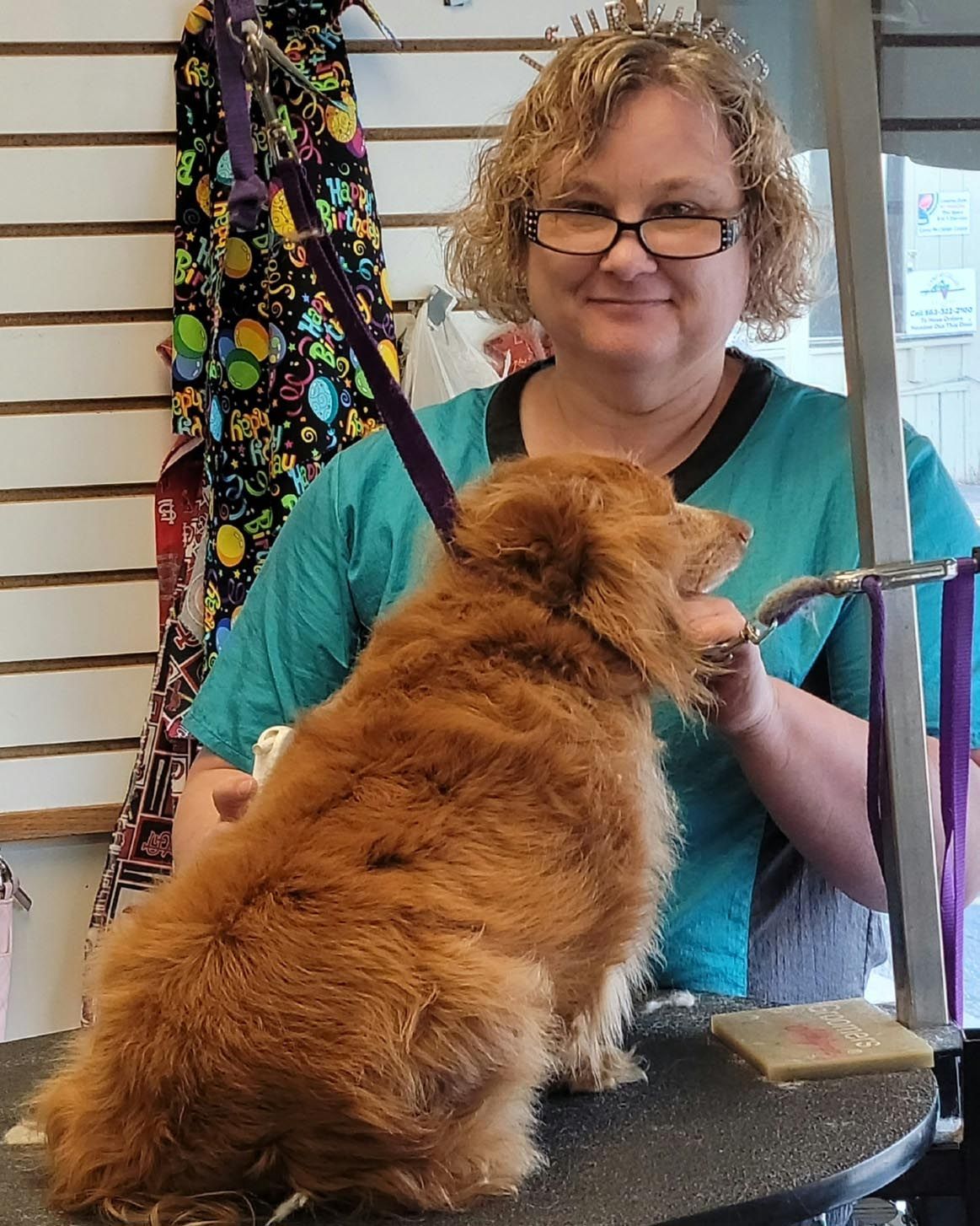 A woman is grooming a small brown dog on a table