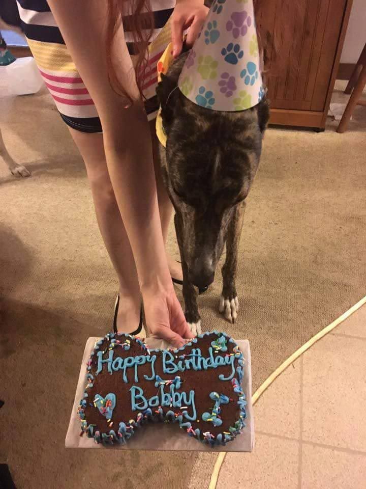 A woman is cutting a birthday cake for a dog