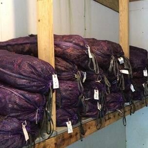 Stacked Supply - Denham Springs, LA - Ron’s Seafood Market