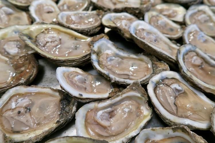 Fresh Oysters - Denham Springs, LA - Ron’s Seafood Market