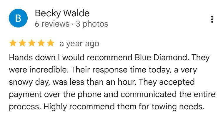 Review of Blue Diamond by Becky Walde