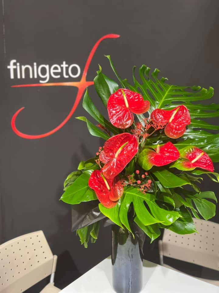 Un vaso con fiori rossi e foglie verdi è davanti ad un cartello che dice fingeto