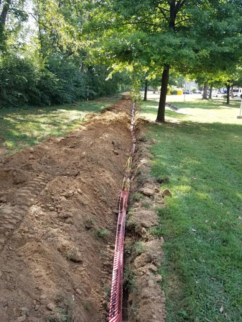 A dirt road is being built in the middle of a park.