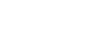 logo blanc agence groupe WSI World