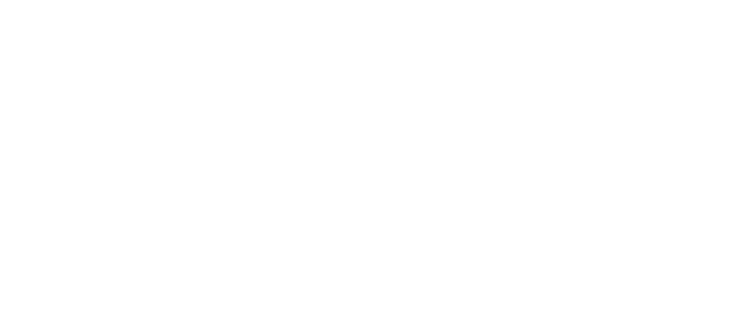 logo blanc agence groupe WSI World