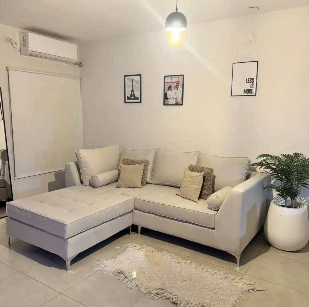 Una sala de estar con un sofá y una planta en maceta.