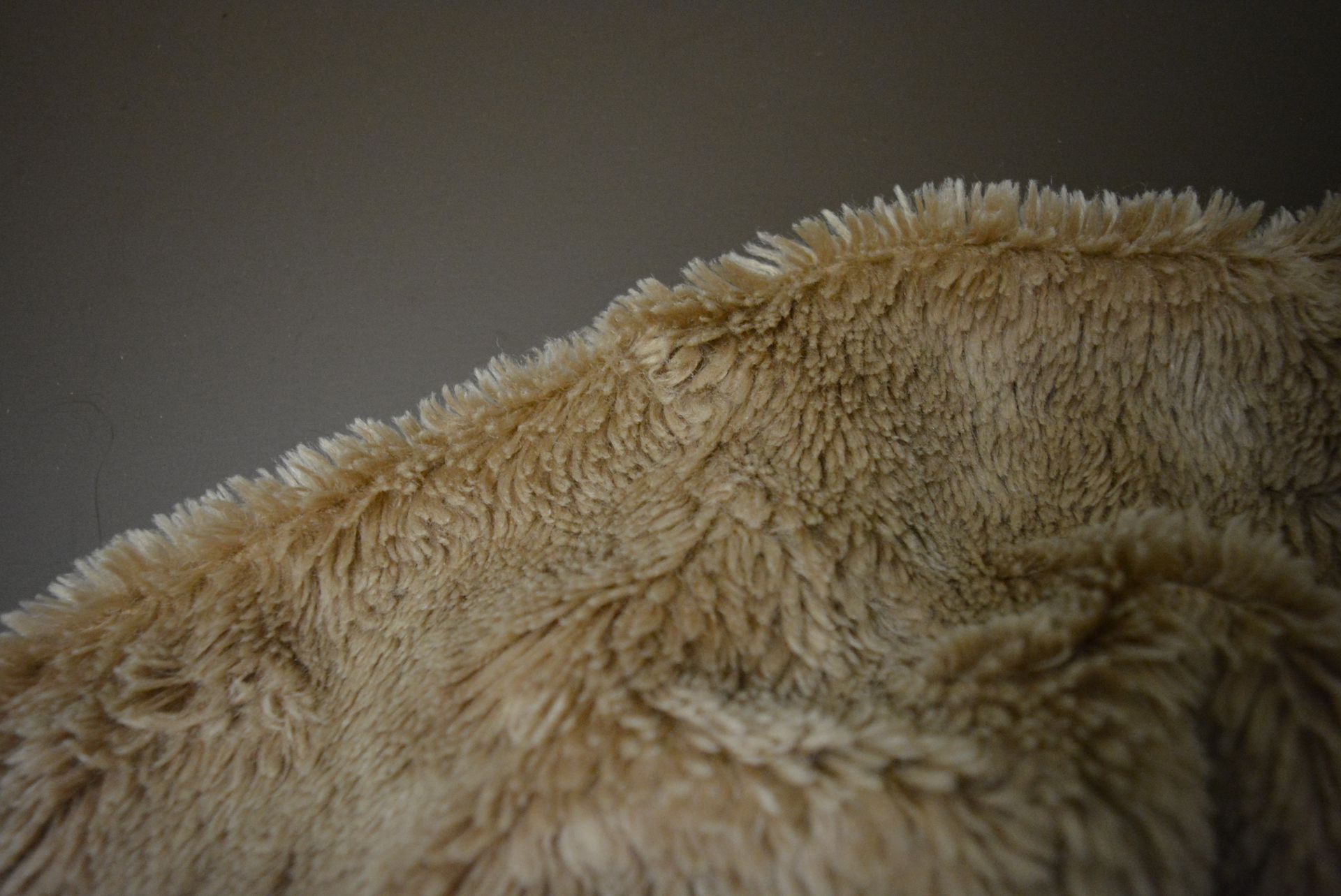 Beige furry fabric against a gray background.