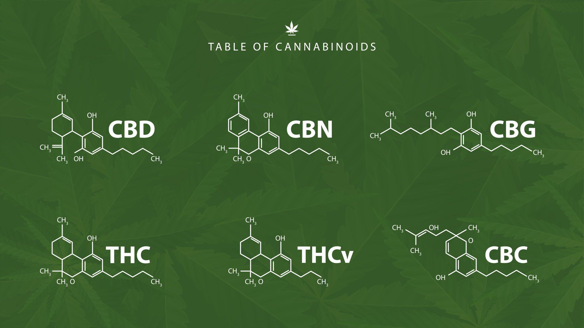 What Are The Differences Between Cannabinoids? | The Top10CBD