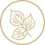 Praktijk Anahatha Terborg Achterhoek