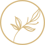 Praktijk Anahatha Terborg Achterhoek