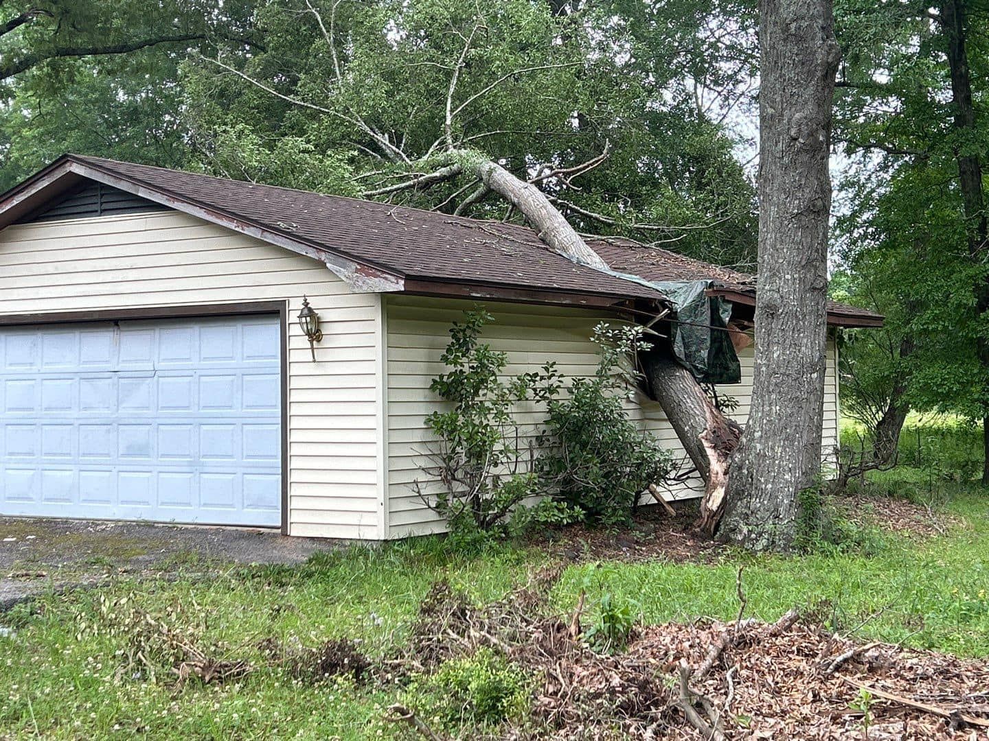 A tree has fallen on the roof of a garage.