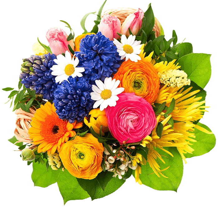 Floristería Eventos Casa Blanca