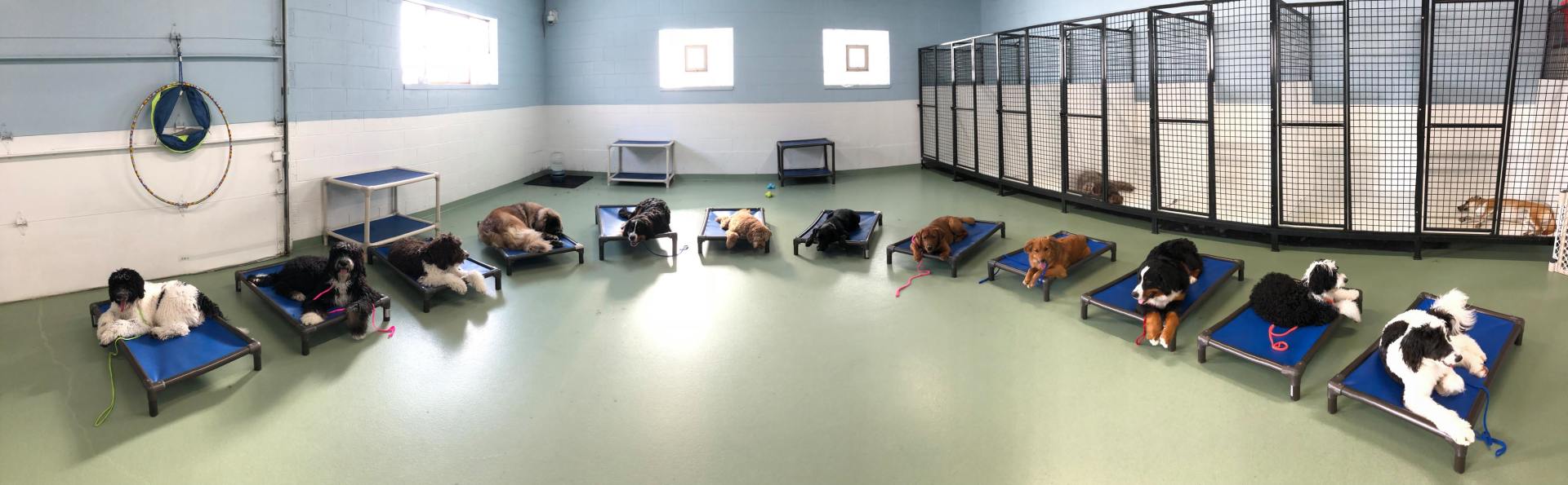 *New client need to sign up.