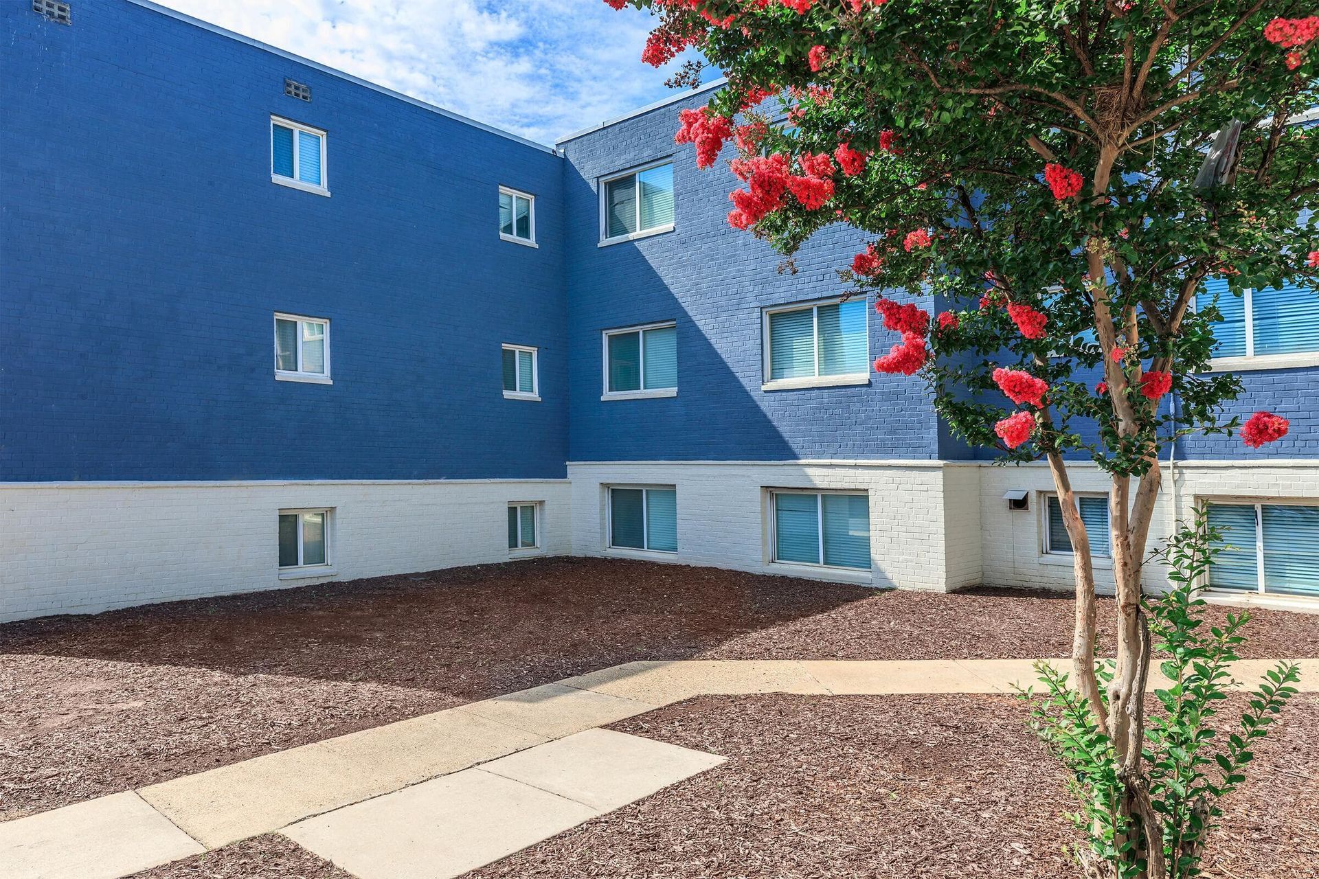 A tree with red flowers is in front of a blue building.