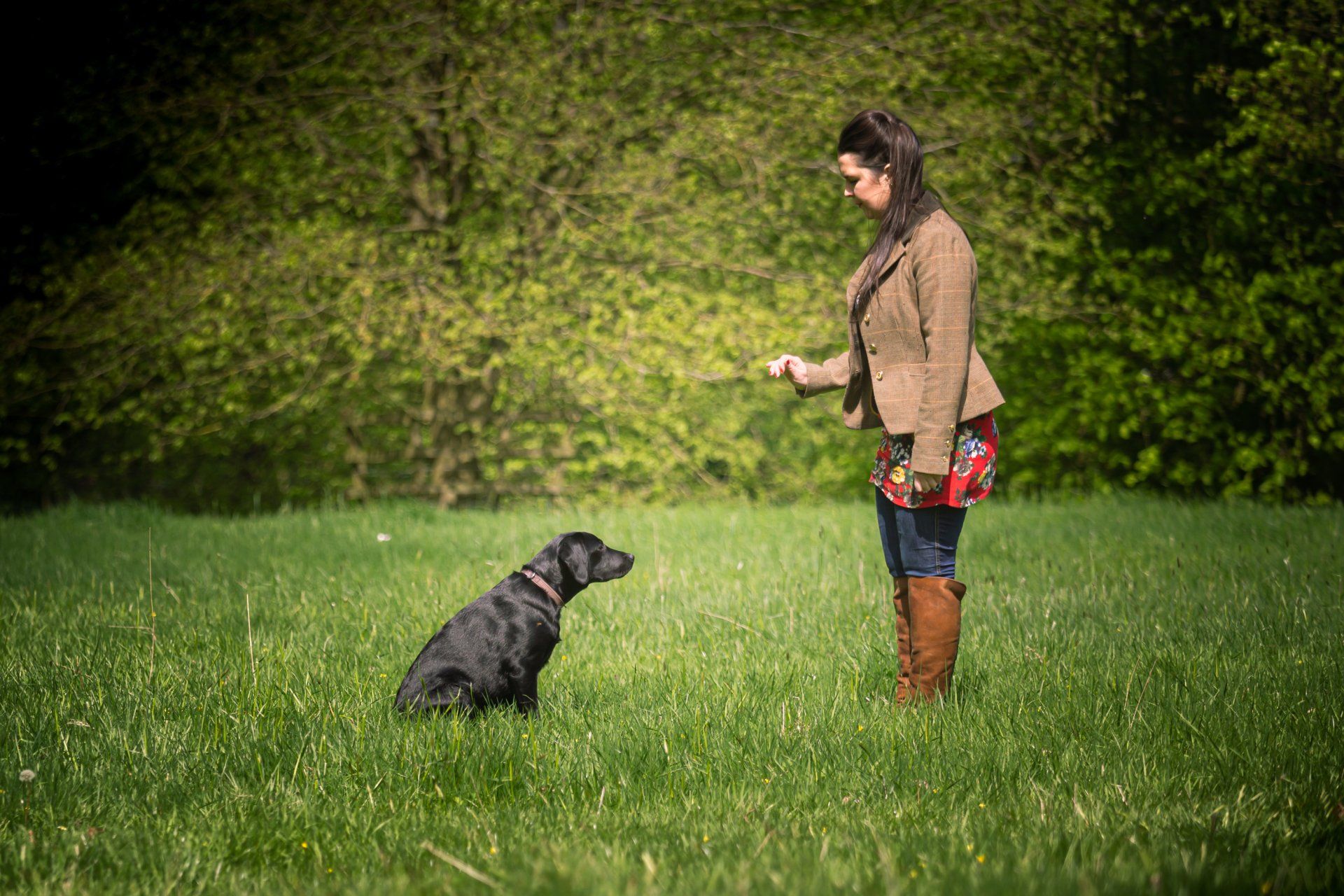 prepare-for-your-pawfect-dog-photoshoot