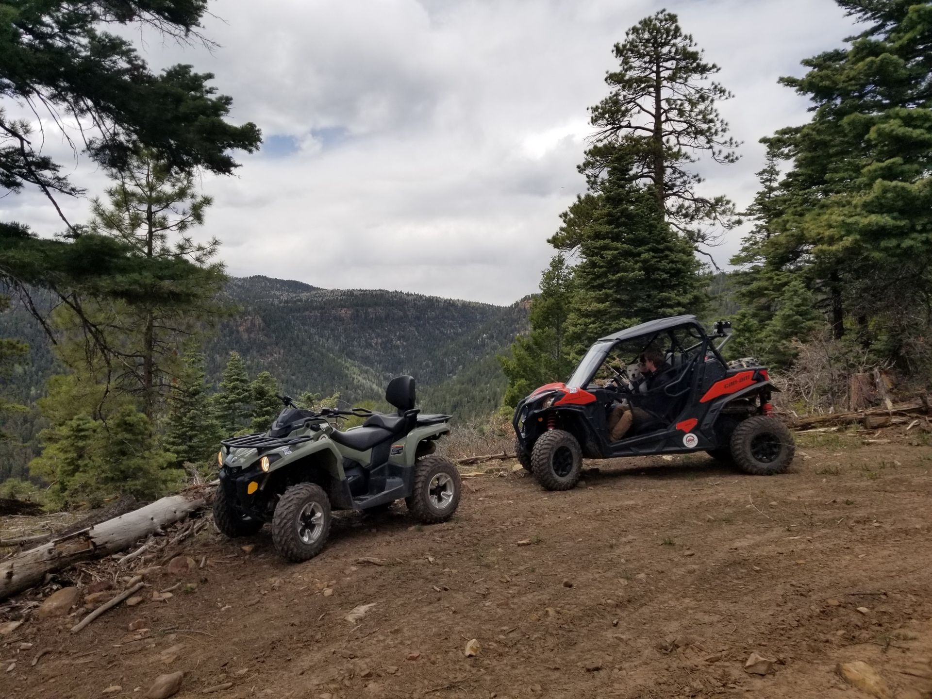 A dirt road going through a forest with mountains in the background.