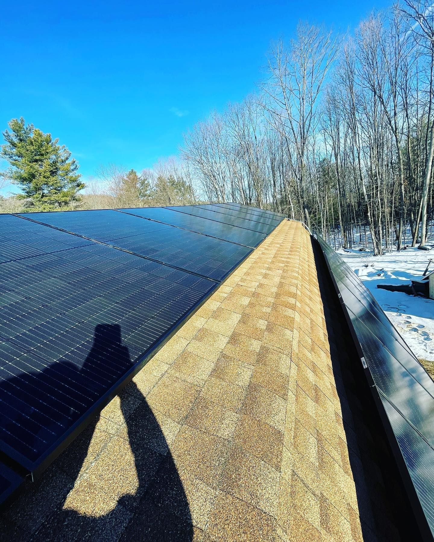 A row of solar panels on a roof with trees in the background.