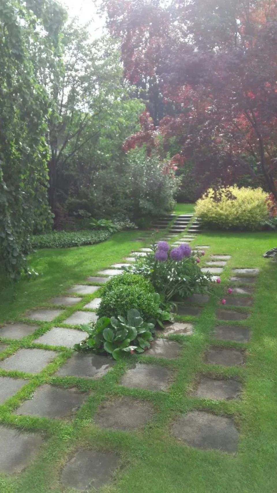 Giardino con viale in pietra