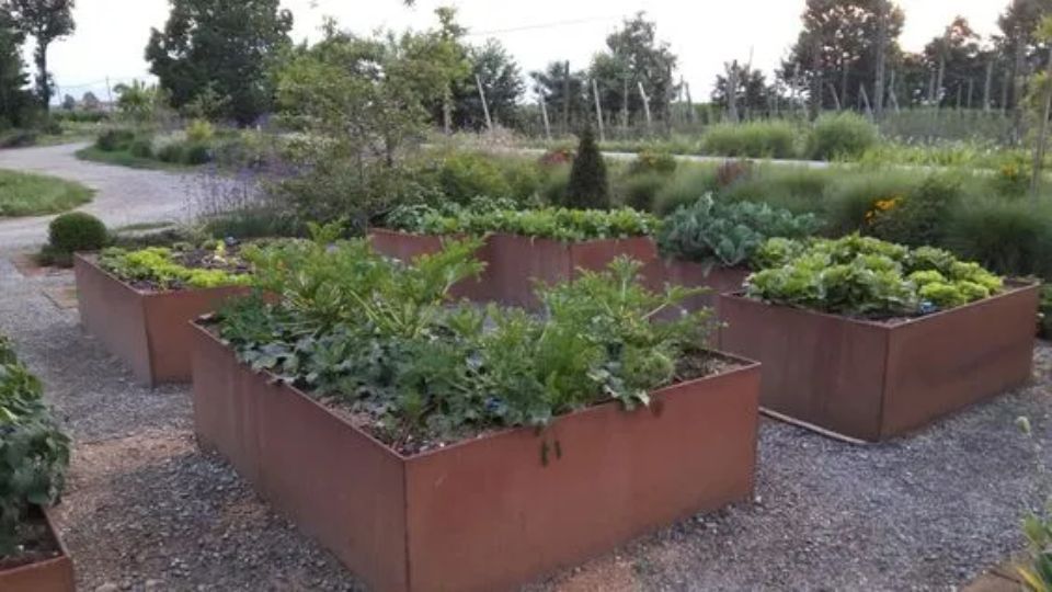 Aiuole con piante verdi