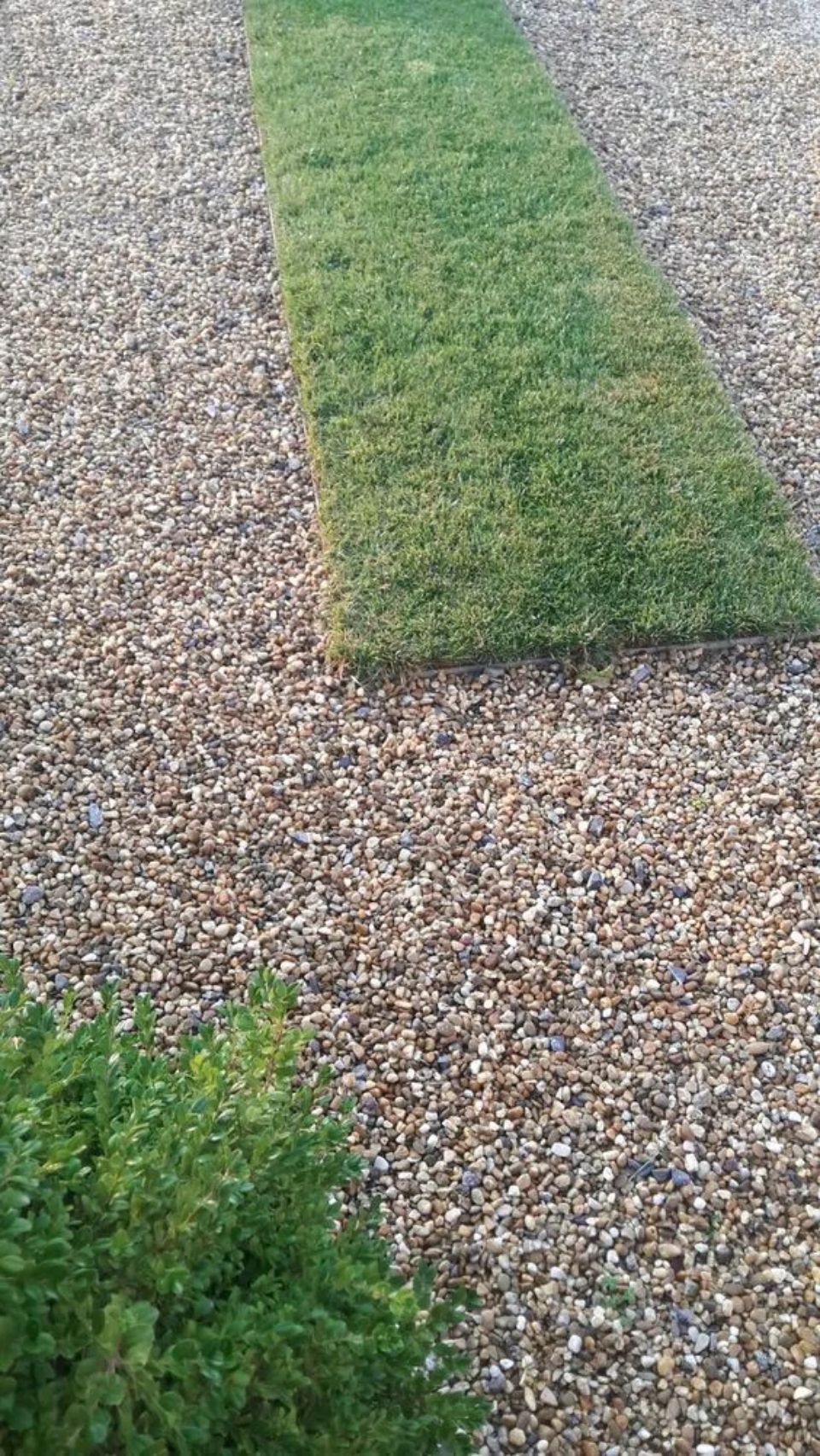 Applicazione di manto erboso