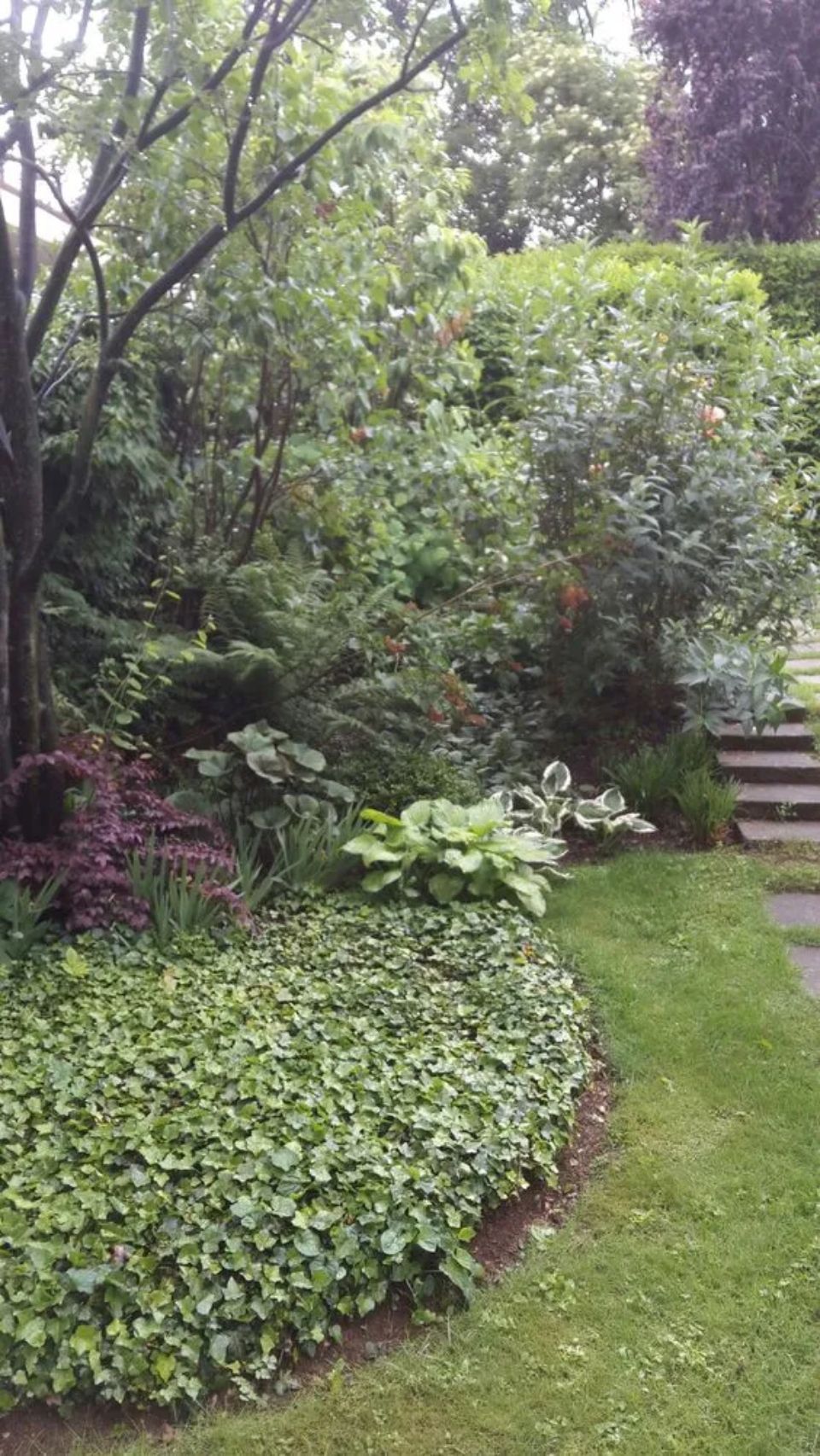 Giardino con fiori e aiuole