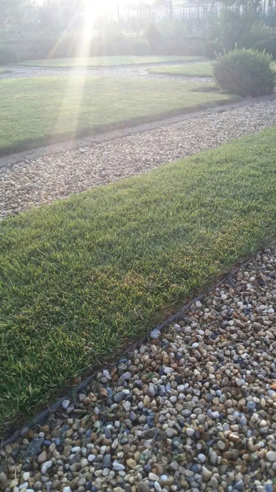 Posa di un manto erboso