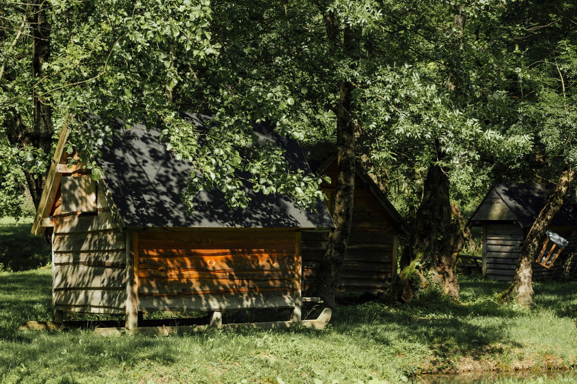 A wooden cabin in the middle of a forest surrounded by trees.