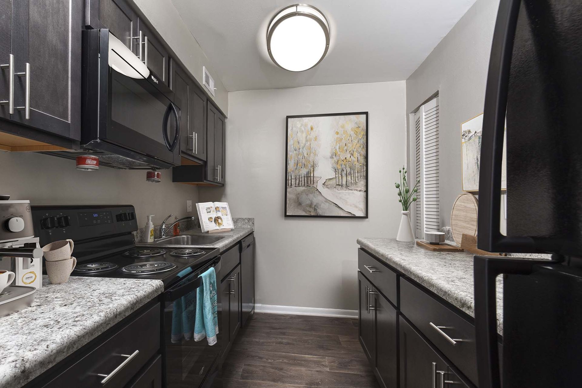 Modern apartment kitchen with dark cabinetry, stainless steel appliances, and granite countertops.