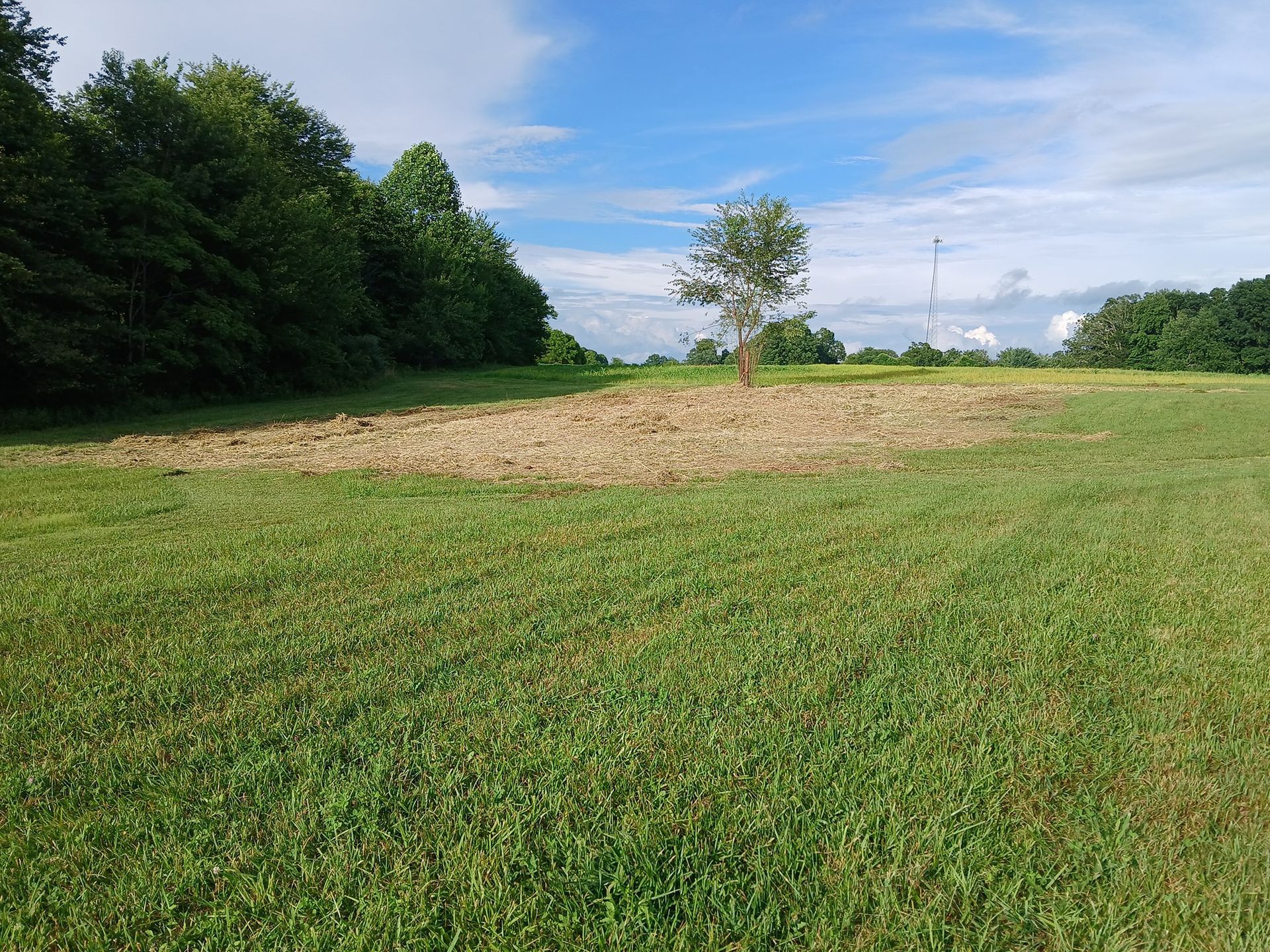 A grassy field with a bare patch in the center, trees on the left, and a partly cloudy sky.