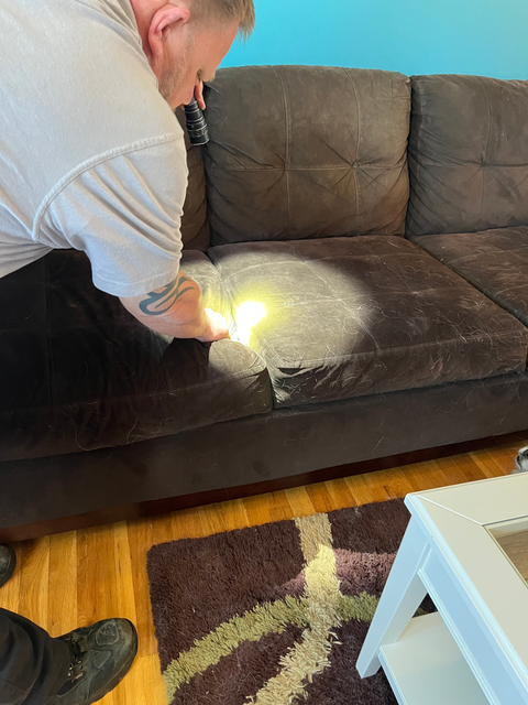 bed bug treatment on a couch
