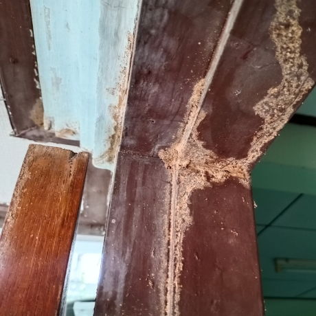 termite damage on a door frame