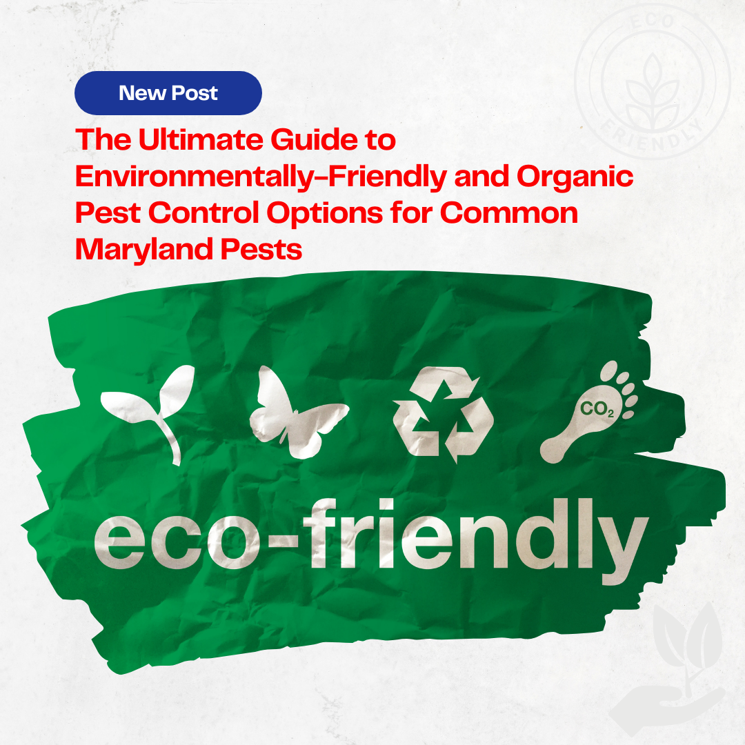 Eco-Friendly and Organic Pest Control in MD