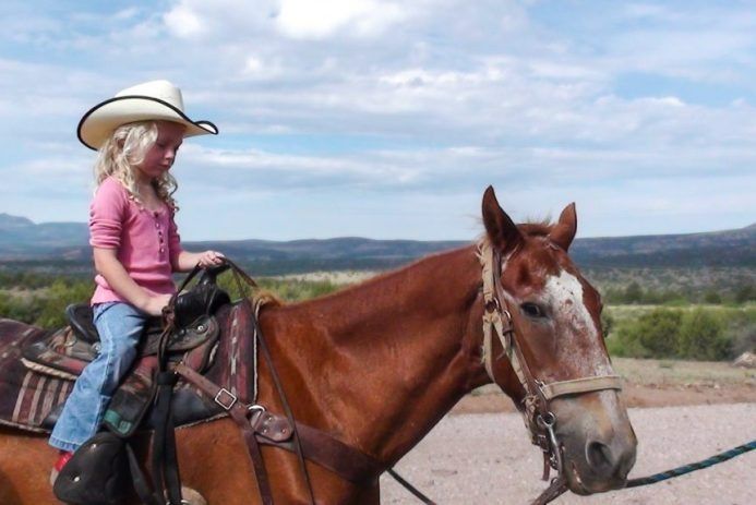 Young child in cowboy hat rides a brown horse outdoors.