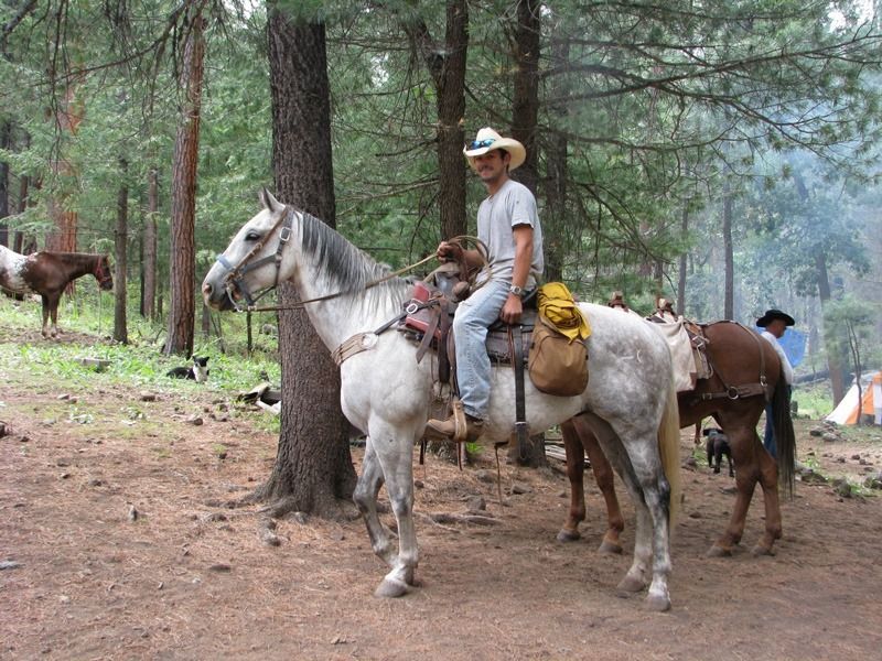 Man on a gray horse in a forest, wearing a cowboy hat. Other horses and campsite in the background.