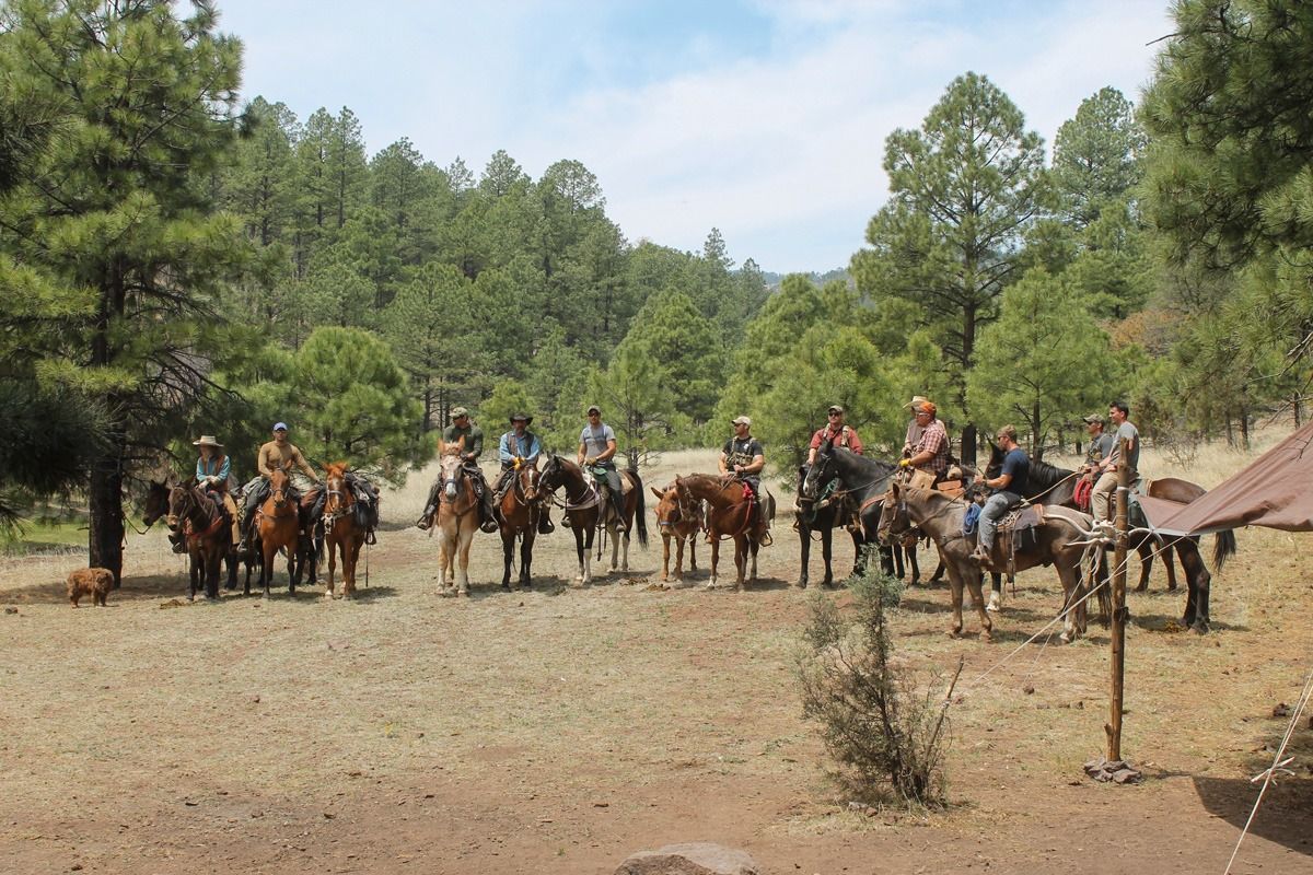 Group of people on horseback in a clearing in a forest.