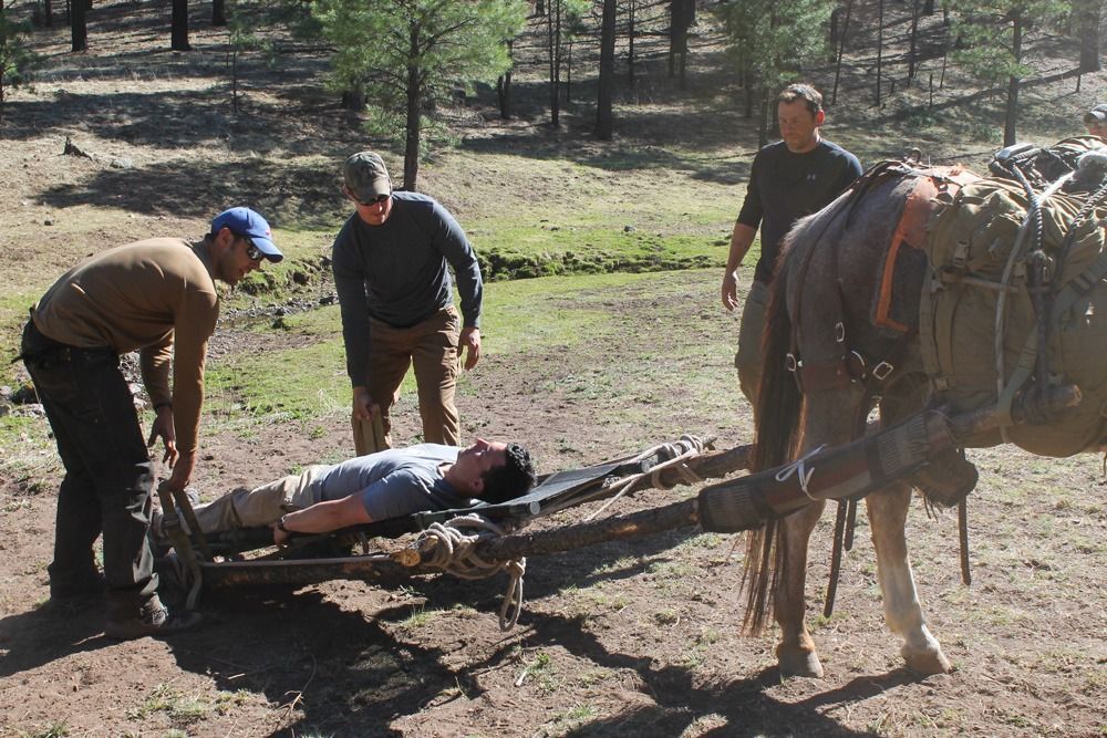 Men loading a person on a stretcher next to a pack animal in a forest.