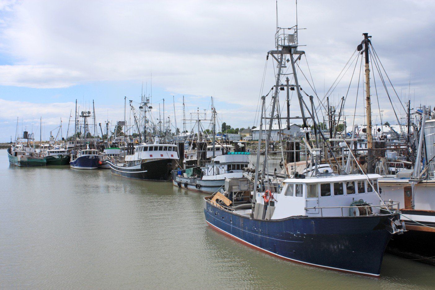 Boats docked in a harbor, overcast sky. Many fishing boats, some blue, some white.