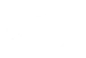 The Brown Law Firm LLC