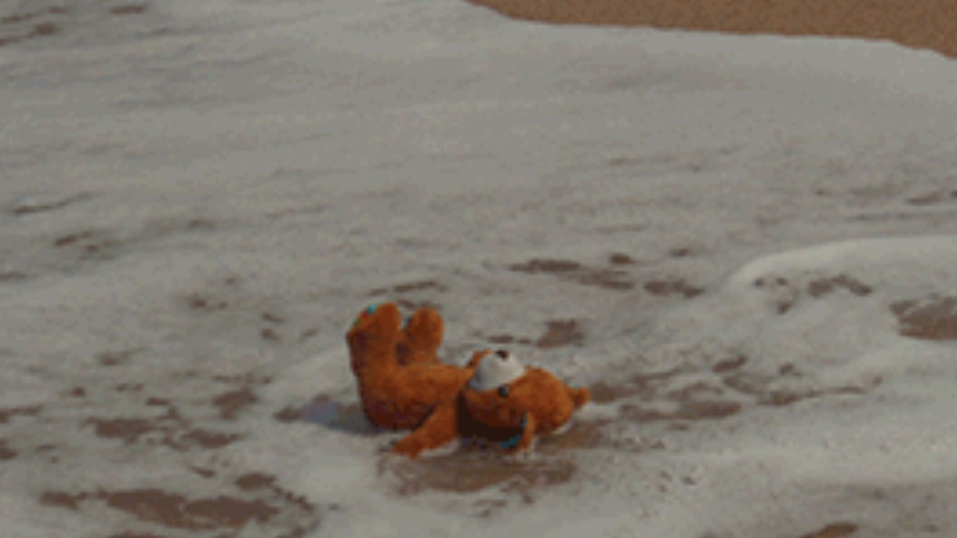 A teddy bear is laying on the ground in front of a teddy bear website