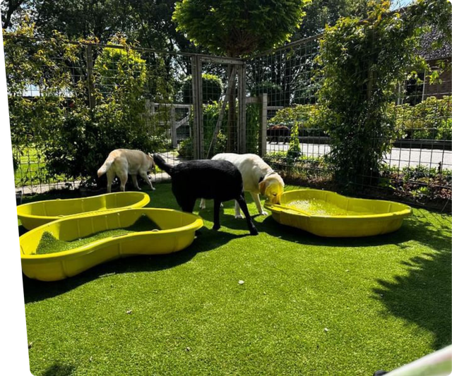 Toilet Voor Honden. Grasmat Met Grote Opvangbak, Herbruikbare  Duurzaam Puppy Trainingsmat Zindelijkheidstraining Met Plasbarriere Voor Reutjes Kunstgrasveld Voor Binnen En Buiten Van Kunstgras