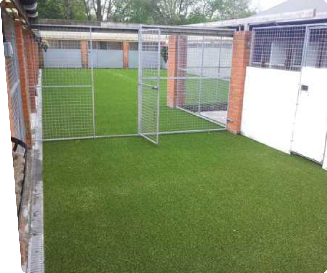kunstgras voor honden dierenasiel